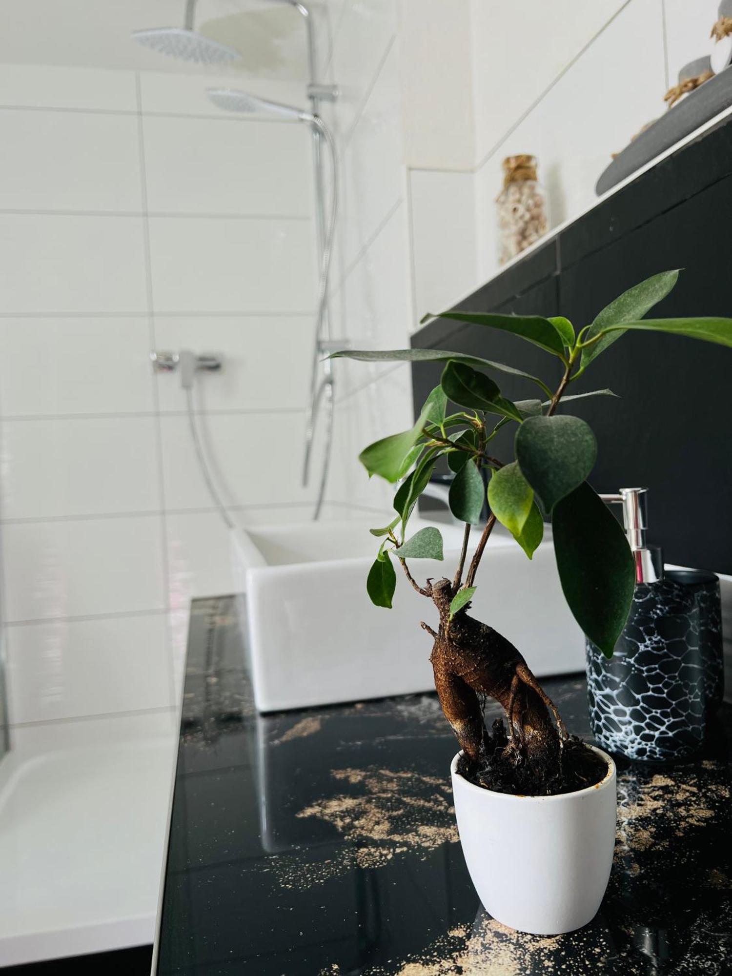 Ferienhaus Doina 겔버그 외부 사진